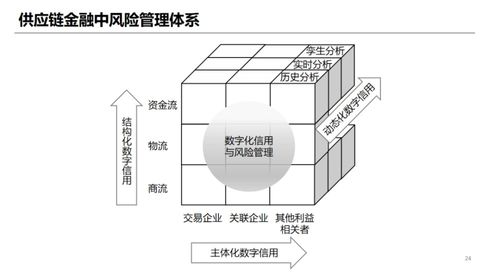 宋华 让金融成为流淌在产业里的血液 实现这一切的关键是建立数字平台